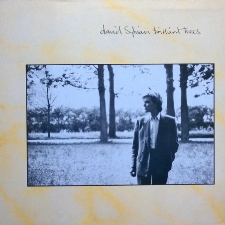 David Sylvian – Brilliant Trees |1984       Virgin – 206 343