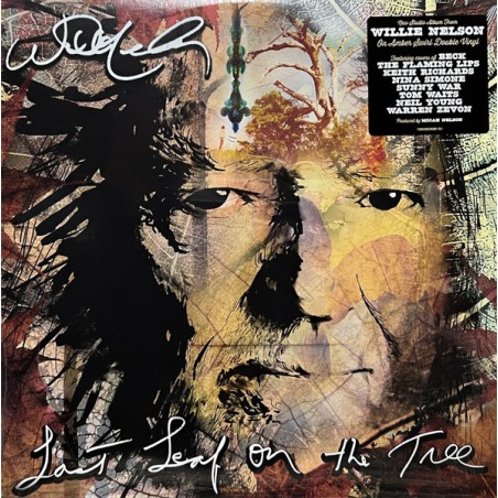 Willie Nelson – Last Leaf On The Tree   |2024     Legacy – 19802836881-Amber Swirl