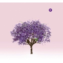 Eels – Tomorrow...