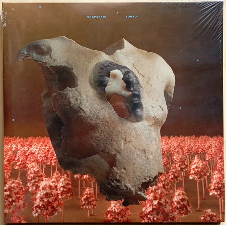 Soap&Skin – Torso  |2024 	Solfo – PIASD5095LP-embossed sleeve