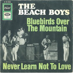 The Beach Boys – Bluebirds...