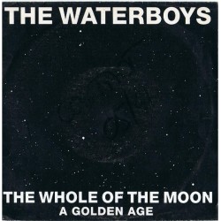 The Waterboys – The Whole...