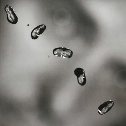 Peter Gabriel – UP...