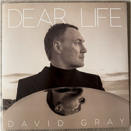 David Gray – Dear Life |2025 	Laugh A Minute – LAM2401LP