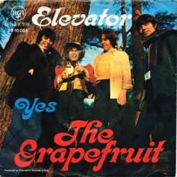 Grapefruit – Elevator /...