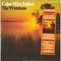 The Winstons – Color Him...