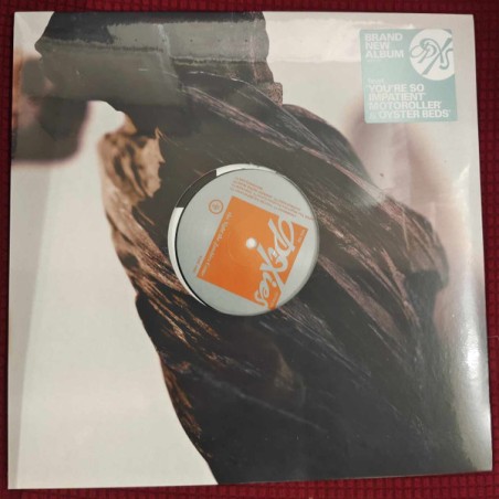 Pixies – The Night The Zombies Came |2024 	BMG – 964051351
