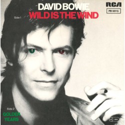 David Bowie – Wild Is The...