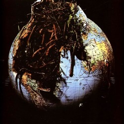 Drosselbart – Drosselbart...