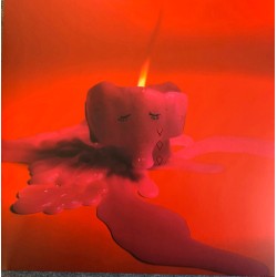 Arcade Fire – Pink Elephant...