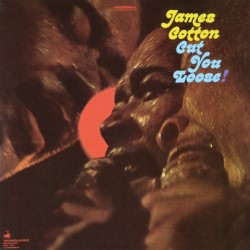 James Cotton – Cut You...