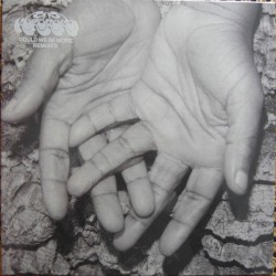 Kokoroko – Could We Be More...