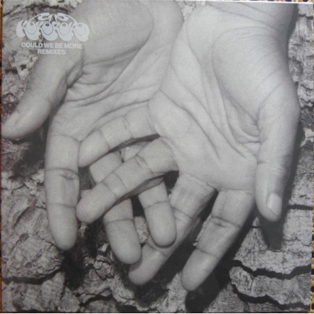 Kokoroko – Could We Be More Remixes |2024   Brownswood Recordings – BWOOD0337LP