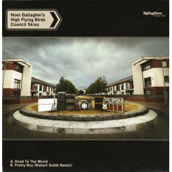 Noel Gallagher's High...