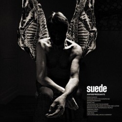 Suede –...