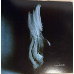 Tom Odell – A Wonderful...