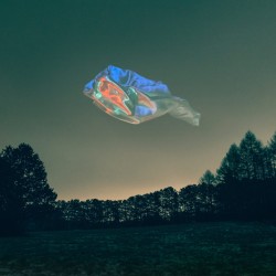 Elektro Guzzi- Liquid...