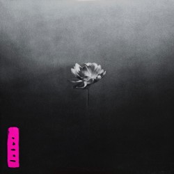 Little Simz – Lotus |2025...