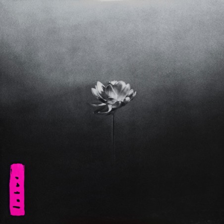 Little Simz – Lotus |2025  	AWAL Recordings Ltd – SIM001LP