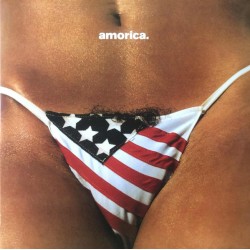 The Black Crowes – Amorica...