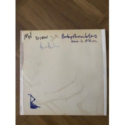 Babyshambles – Down In...