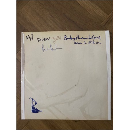 Babyshambles – Down In Albion|2025  	Rough Trade – RT0575LPX