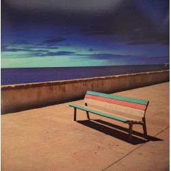 Seven Sioux – Alligator...