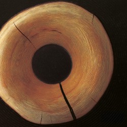 Sibylle Kefer-ma wü vü