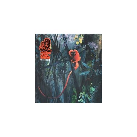 Bonnie "Prince" Billy – We Are Together Again|2026    Domino – WIGLP570 -Clear