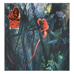 Bonnie "Prince" Billy – We...