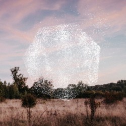 Bernhard Eder – Reset |2019...