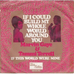 Marvin Gaye & Tammi Terrell...