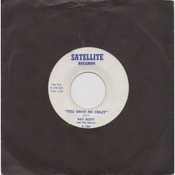 Ray Scott And The Demens  –...