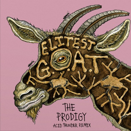 Sleaford Mods, Aldous Harding – Elitest G.O.A.T. The Prodigy Acid Thunder Remix |2026       RT 0615S -Lim. Edition, Gold-Single