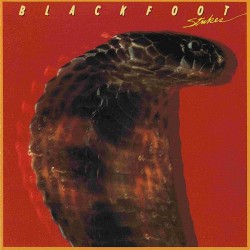 Blackfoot  –...