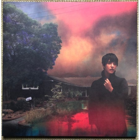 Sharon Van Etten – We've Been Going About This All Wrong|2022  	Jagjaguwar – JAG395-Maroon Insomnia, Gatefold