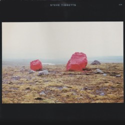 Steve Tibbetts – Exploded...