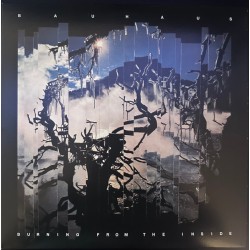 Bauhaus – Burning From The...