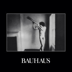 Bauhaus – In The Flat Field...