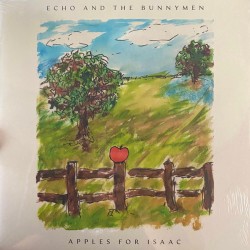 Echo & The Bunnymen –...