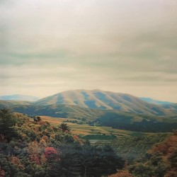 Dirty Projectors + Björk –...