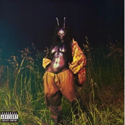 SZA  – SOS Deluxe:...