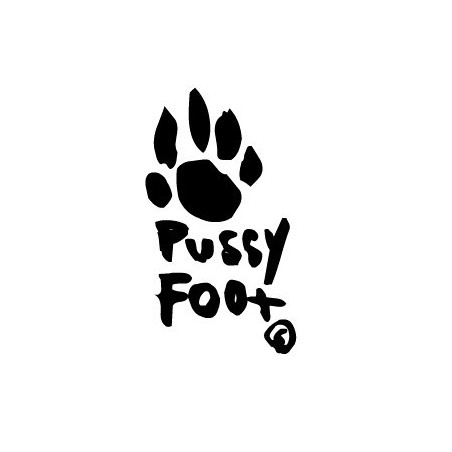Howie B- Breathe In |1993   Pussyfoot Records Ltd ‎– PUSSYFOOT 001