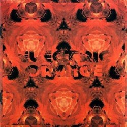 Electric Orange ‎– XX|2012    Studio Fleisch ‎– SFLP02/03