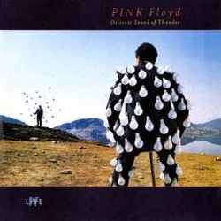 Pink Floyd ‎– Delicate Sound Of Thunder|1988     EMI ‎– 791480 1