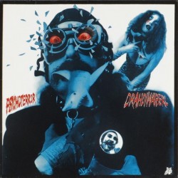Drahdiwaberl ‎– Psychoterror|1981    GIG 222 102
