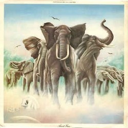 Costello Elvis  & The Attractions ‎– Armed Forces|1979      Radar Records  ‎– RAD 56 597