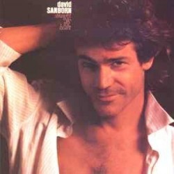 Sanborn David ‎– Straight To The Heart|1984     Warner 925 150-1
