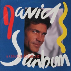 Sanborn David ‎– A Change Of Heart|1987     	Warner 925479-1