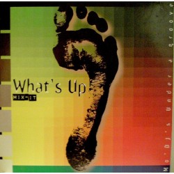 Various ‎– What's Up Mix-It: Mo' DJ's Under A Groove|1995    378.9503.12-Diff. Tracklist